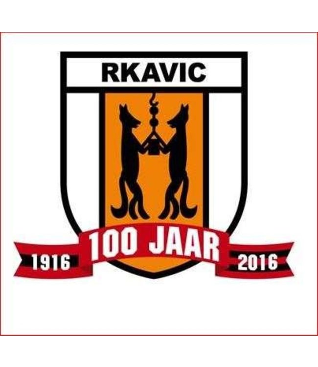 RKAVIC Wedstrijdshirt