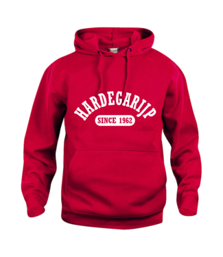 vv Hardegarijp vv Hardegarijp Hoodie Rood