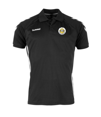 VV Spaubeek VV Spaubeek training Polo