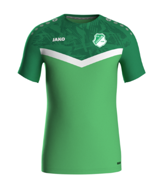 VV Dokkum VV Dokkum T-shirt Groen