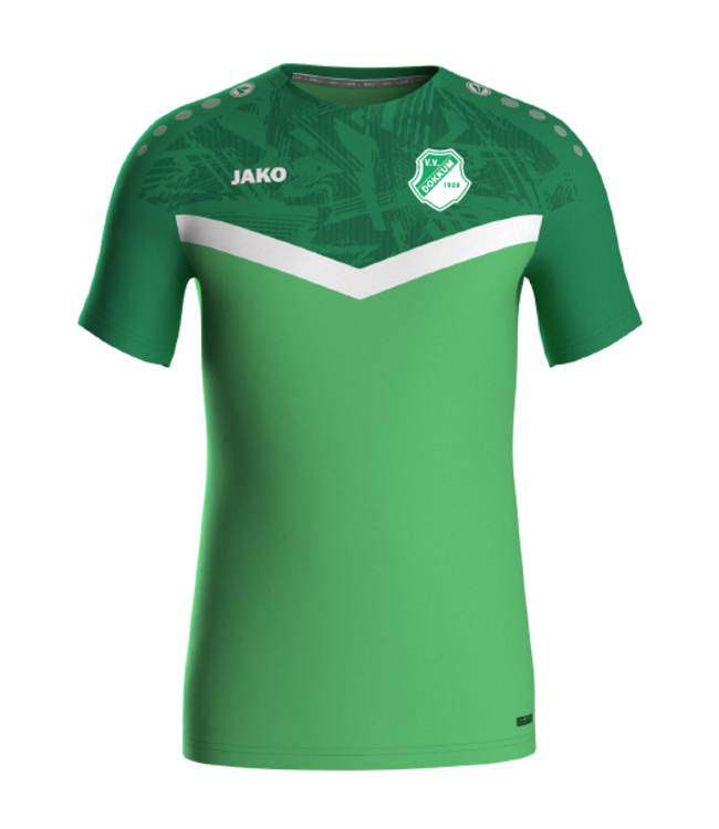 VV Dokkum T-shirt Groen