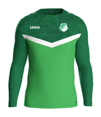 VV Dokkum VV Dokkum Sweater Groen