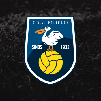 Pelikaan
