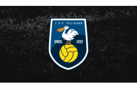 Pelikaan
