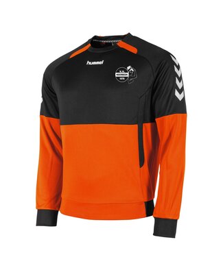 VV Neerbeek VV Neerbeek Trainingstrui  (Dames)