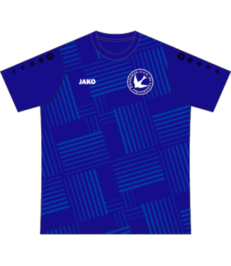 Leeuwarder Zwaluwen Leeuwarder Zwaluwen wedstrijdshirt