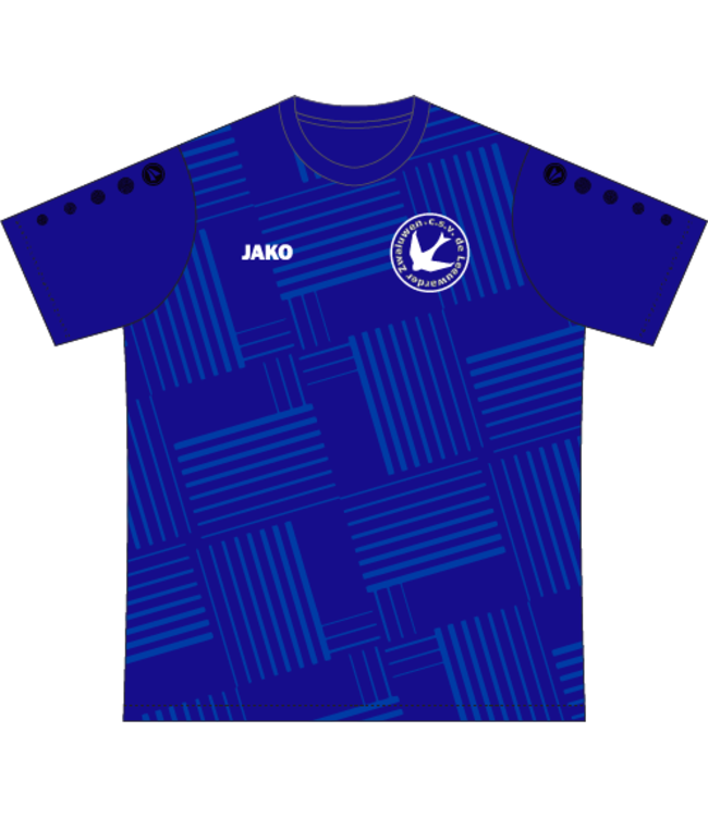 Leeuwarder Zwaluwen wedstrijdshirt