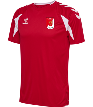HDS Leersum HDS Trainingsshirt