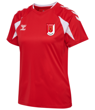 HDS Leersum HDS Trainingsshirt dames
