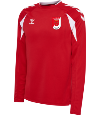 HDS Leersum HDS Trainingssweater