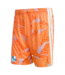 VV Daalhof Keepersshort