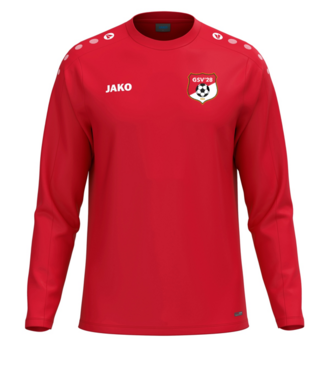 GSV'28 Sweater  - Rood