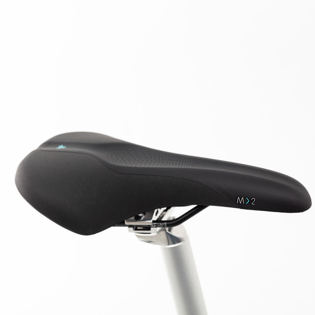 Ahooga Folding Bike - 36V - Power+