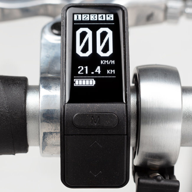 Ahooga Folding Bike - 36V - Power+