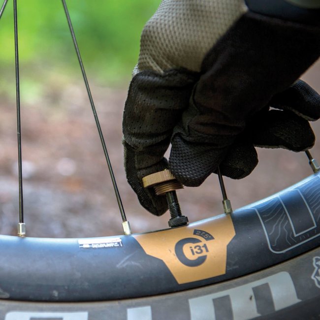 Blackburn mini-pomp Core