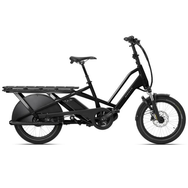 NORTA longtail Cargo C-7040 belt