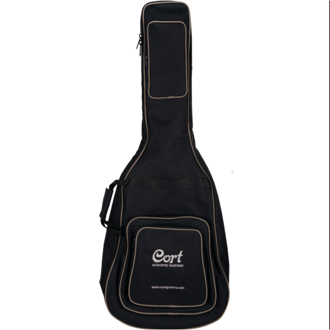 cort guitar case