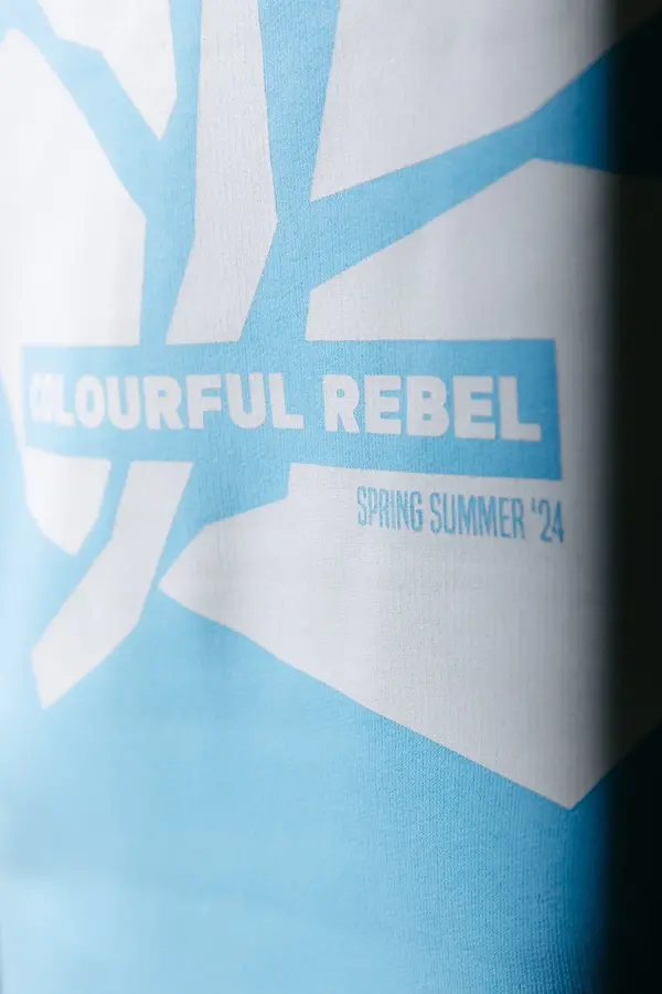 Colourful Rebel - Big Flower Clean Oversized Hoodie - Light Blue