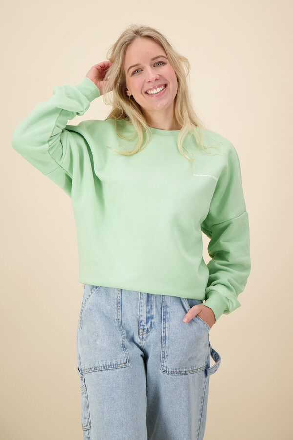 Colourful Rebel  - Flower Dropped Shoulder Sweat - Soft Green