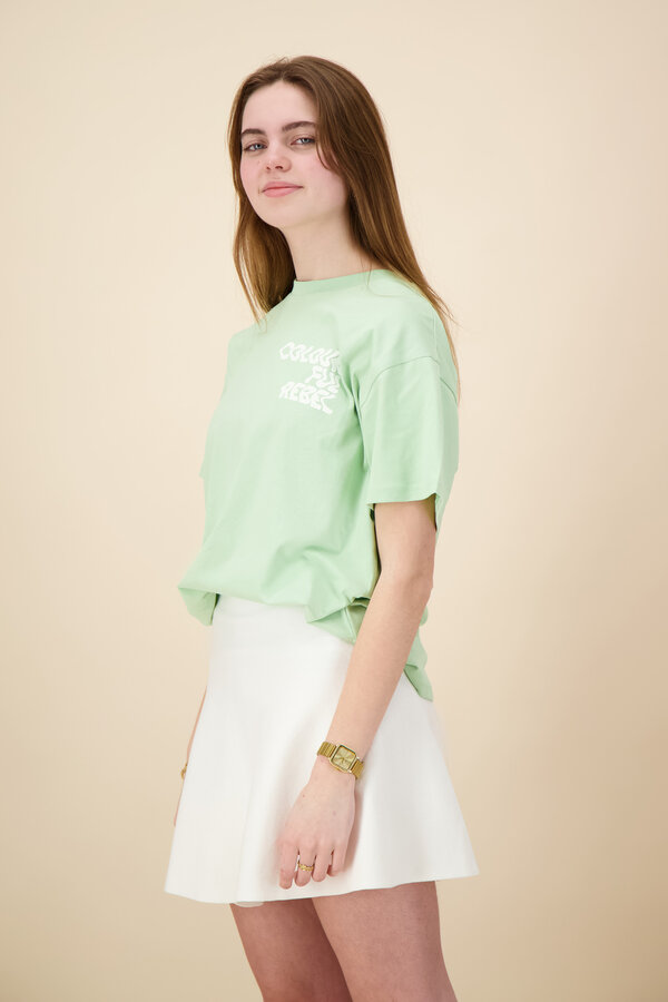 Colourful Rebel - Logo Wave Loosefit Tee - Soft Green