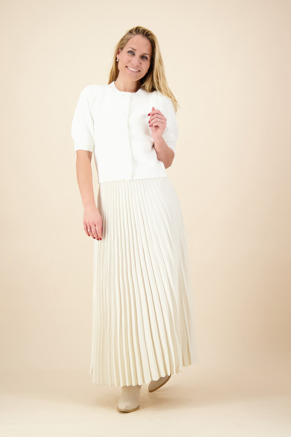 Selected Femme - Plisse Skirt Noos - Birch