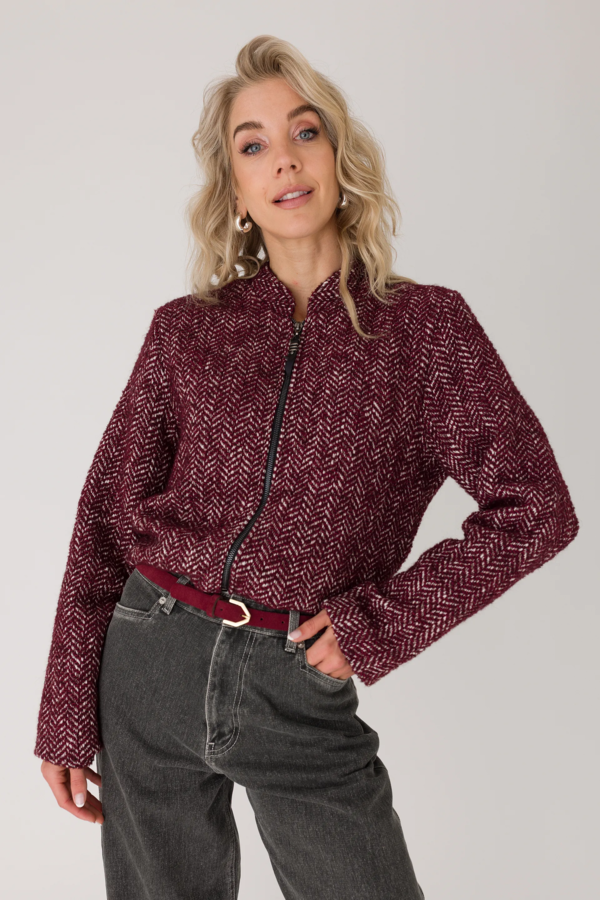 Blazer - Ruby Red Dessin