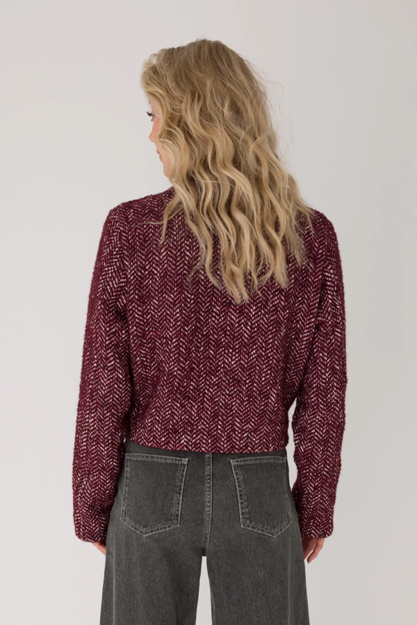 Blazer - Ruby Red Dessin