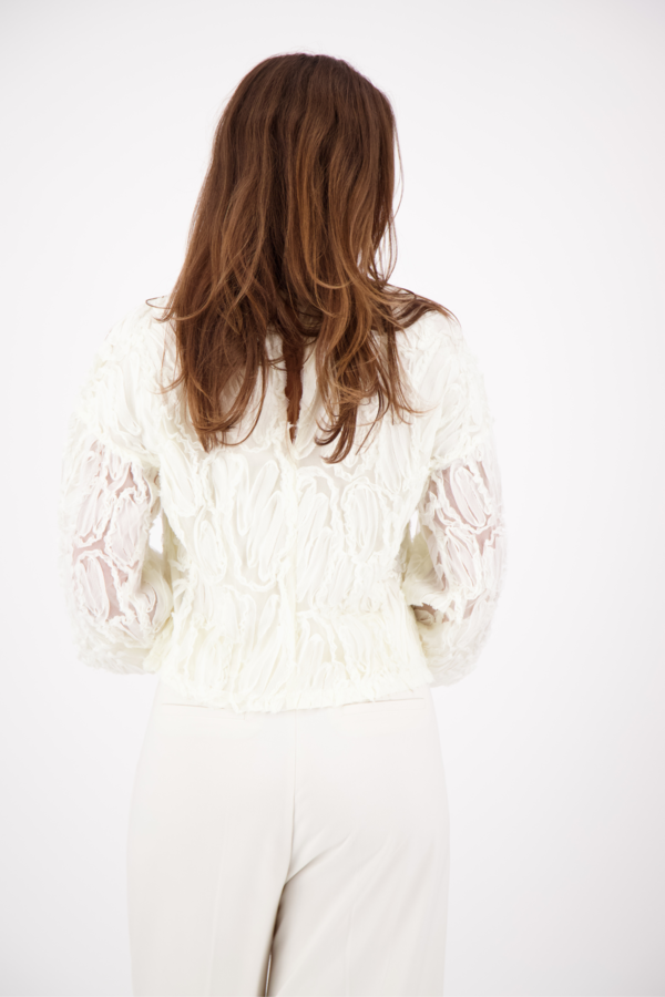 ShaniaCC Fluffy Blouse - Off White