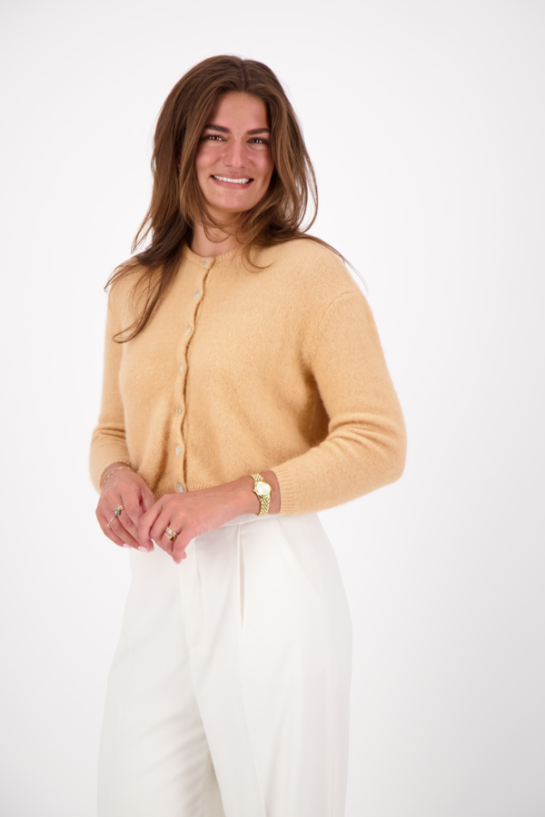 Vitow Cardigan - Hazelnut Melange