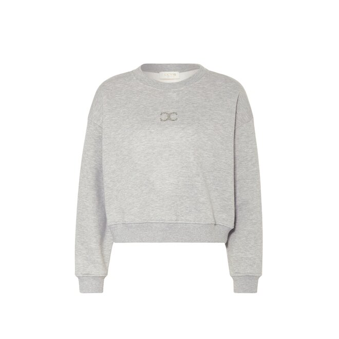 Sweatshirt met glitterdetail - Lichtgrijs