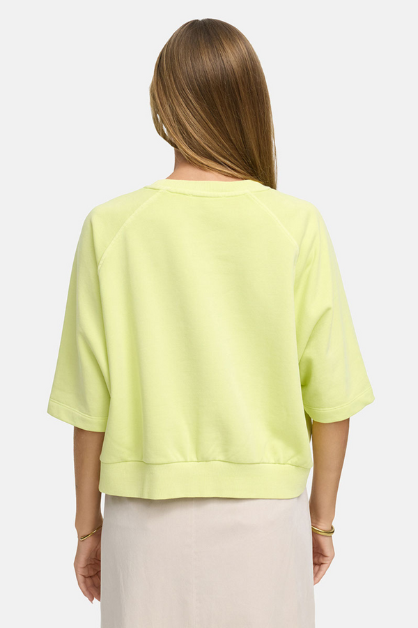 Sweater - Light Yellow