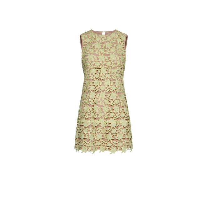Verola Short Dress - Lime Candy Phard