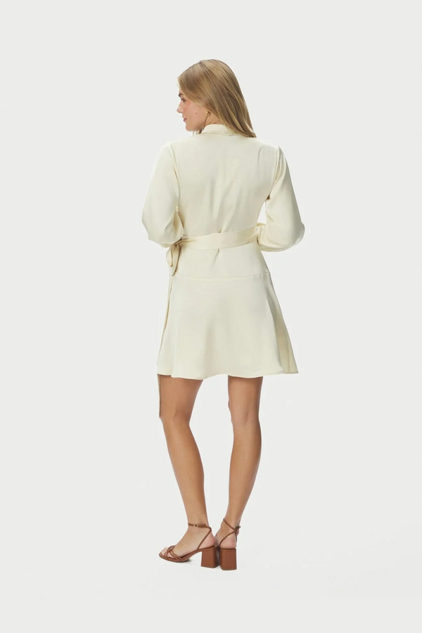 Colbie Heavy Sateen Dress - Light Yellow