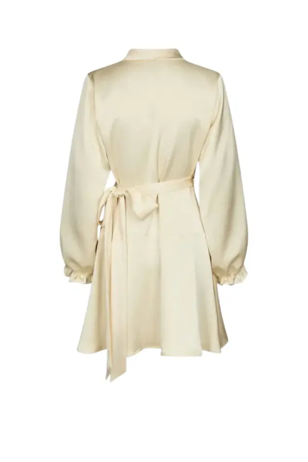 Colbie Heavy Sateen Dress - Light Yellow