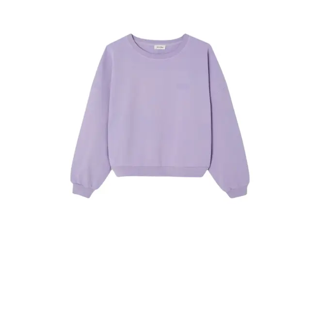Jitbay Sweater - Vintage Parma