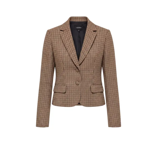 Willeke Blazer - Ruit