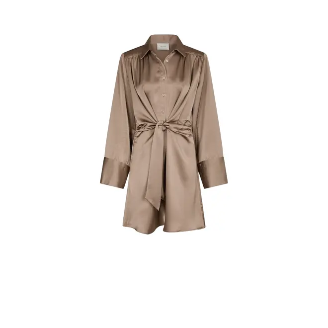 Biria Heavy Sateen Dress - Dark Taupe