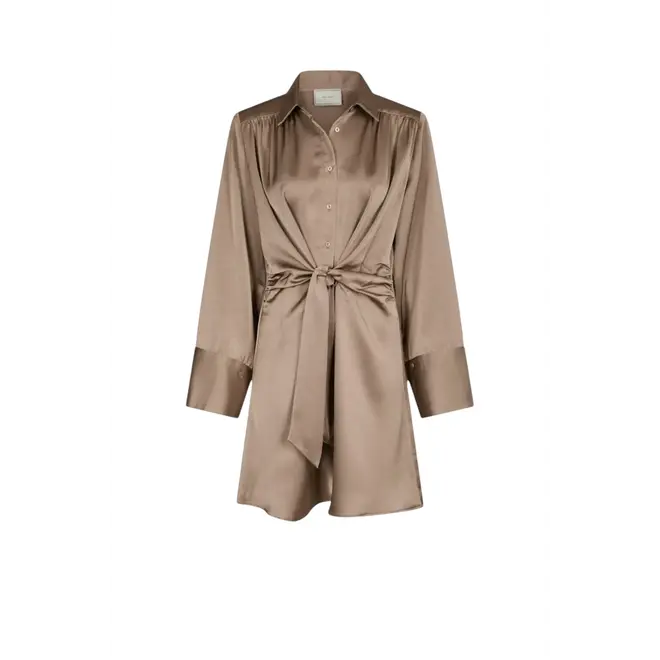 Biria Heavy Sateen Dress - Dark Taupe