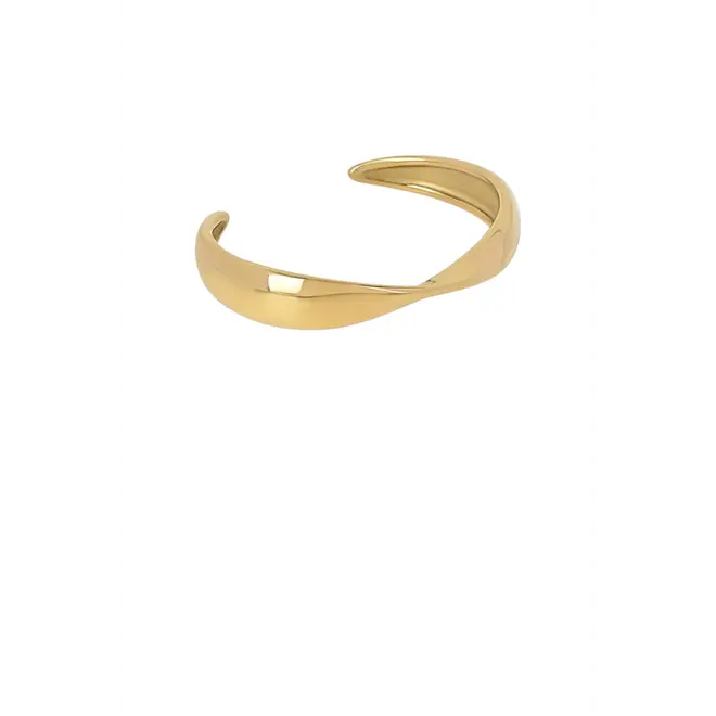 Organische Bangle II - Goud