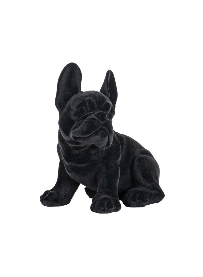 Dog Miro Black