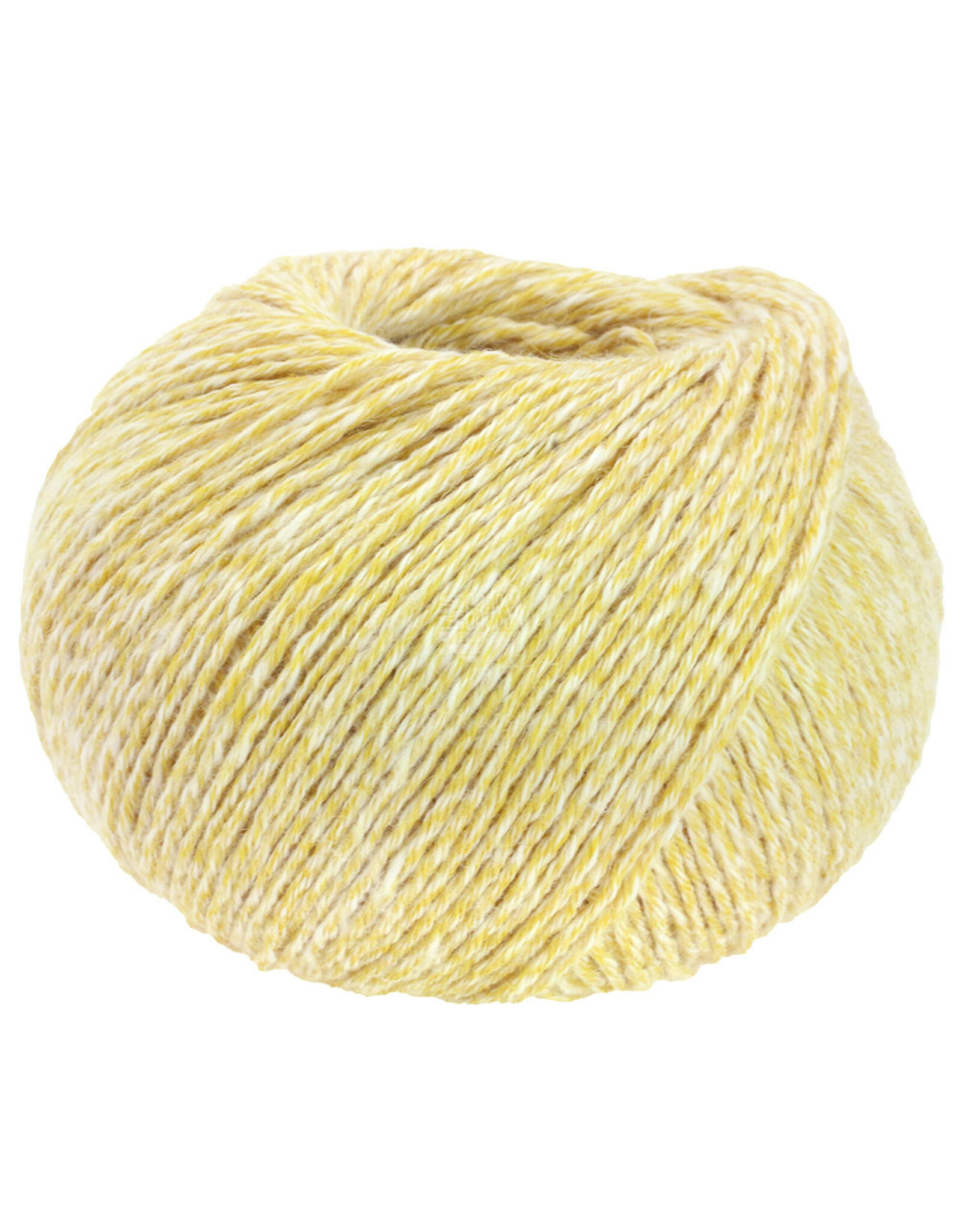 Cara *Cara - 50 g - 120 m - kan niet meer besteld worden !