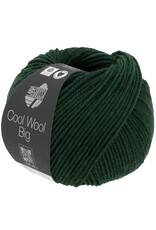 Cool Wool Big (We Care) Cool Wool Big Mélange - 50 g - 120 m