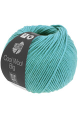 Cool Wool Big (We Care) Cool Wool Big Mélange - 50 g - 120 m