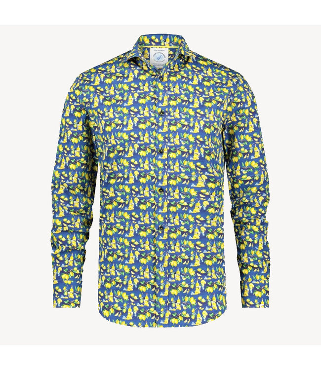 a fish named fred trui