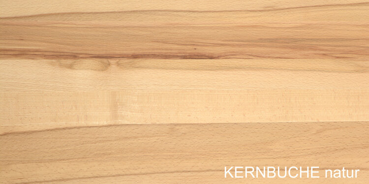 COBURGER WERKSTÄTTEN 1894 LONGBOX (Breite 95 cm)