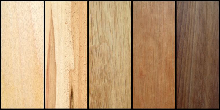 HOLZARTEN, OBERFLÄCHEN & PFLEGE