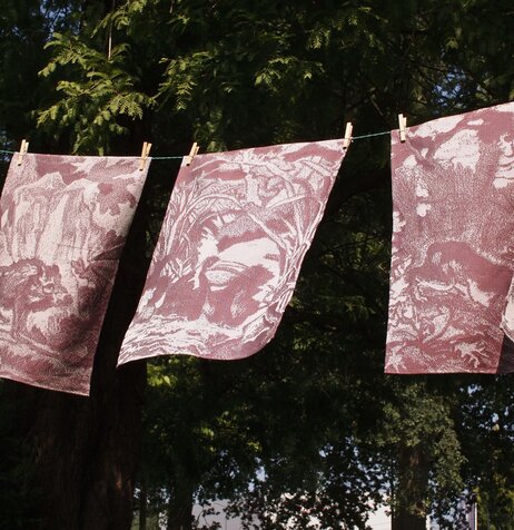 Alejo Musich Teatowel Set of 3 Alejo Musich Teatowel Set of 3