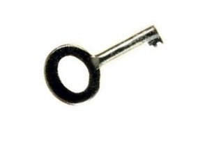 Standard LIPS Handcuff Key