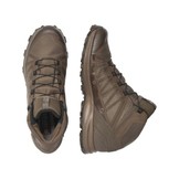 Speed Assault (Burro)