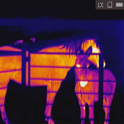 ASP-Micro TM-160 Camera Thermique